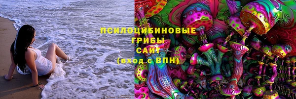 jwh Абаза