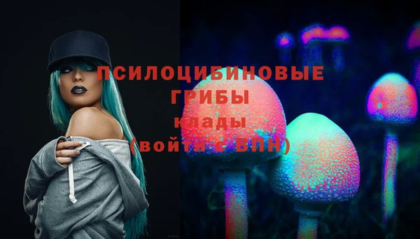дживик Абинск
