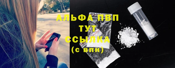 дживик Абинск
